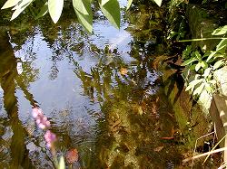 gardenmuseum (10).jpg
